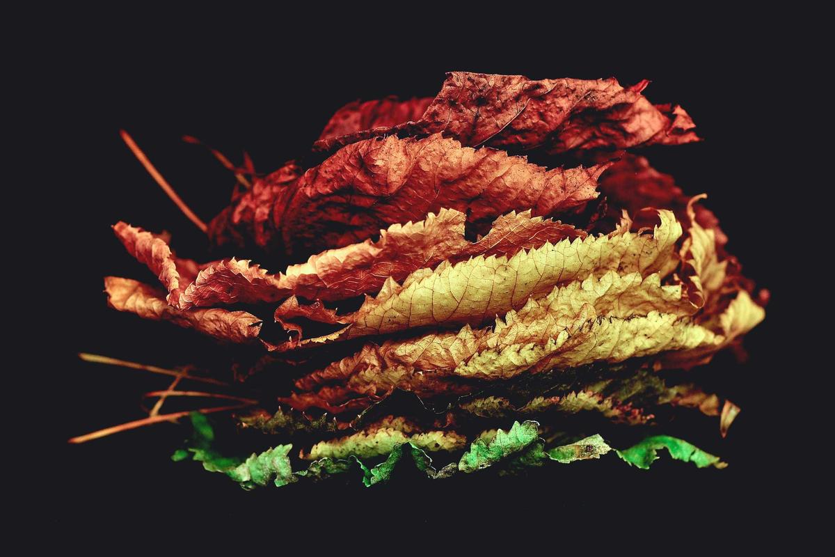 OmegaIntel intelligence technology abstract visualization